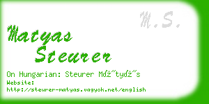 matyas steurer business card